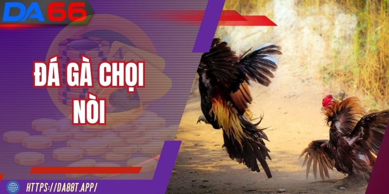 Đá Gà Chọi Nòi - Tinh Hoa Võ Thuật Đầy Kịch Tính 2025