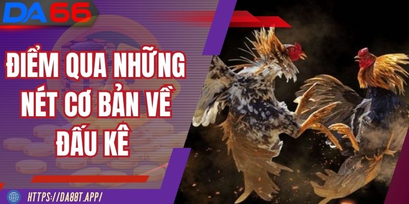 Điểm qua những nét cơ bản về đấu kê tại nhà cái DA88