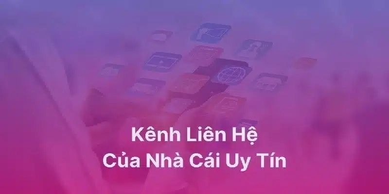 Hãy gửi email với những trao đổi chi tiết hơn