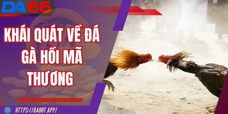 Khái quát đôi nét về đá gà hồi mã thương tại DA88