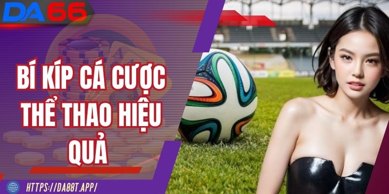 Mẹo cá cược hiệu quả cho người mới tại thể thao DA88