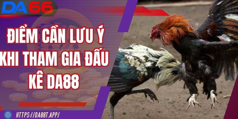 Một vài những điểm cần lưu ý khi tham gia đấu kê DA88