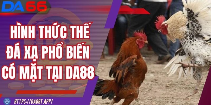 Một vài những hình thức thế đá xạ phổ biến có mặt tại DA88