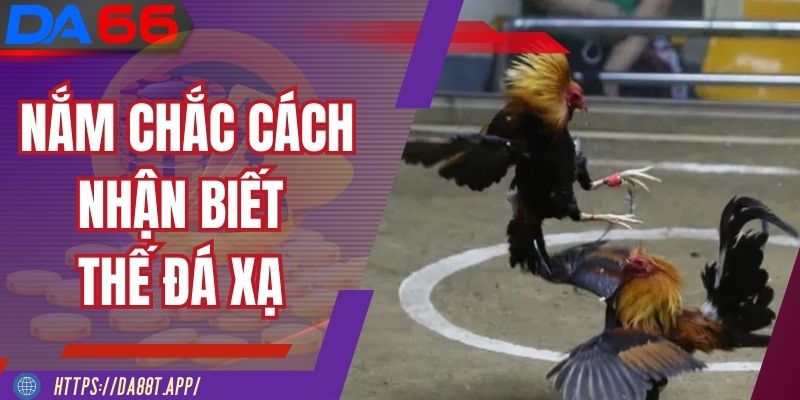 Nắm chắc cách nhận biết thế đá xạ tại nhà cái DA88