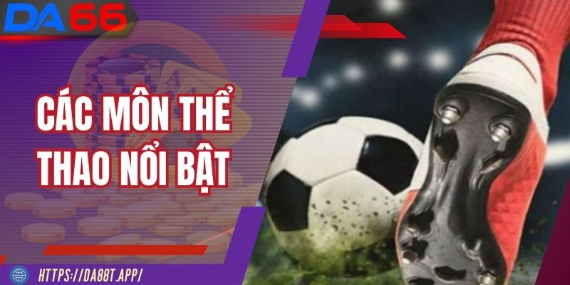 Thể thao DA88 cung cấp nhiều môn thể thao hấp dẫn