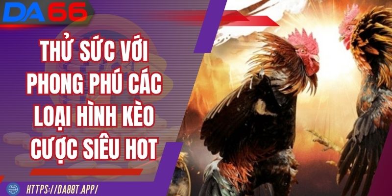 Thử sức với phong phú các loại hình kèo cược siêu hot