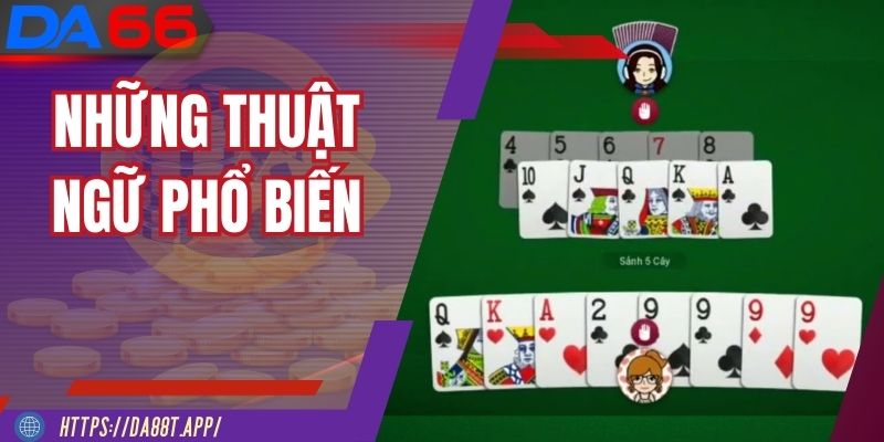 Tiến lên miền Nam online có thuật ngữ gì dễ hiểu