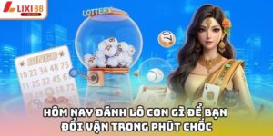 Hôm Nay Đánh Lô Con Gì Để Bạn Đổi Vận Trong Phút Chốc